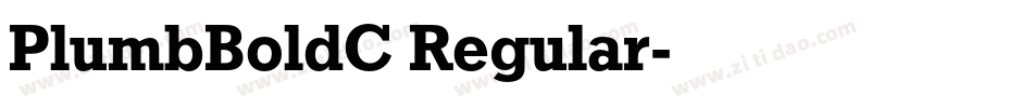 PlumbBoldC Regular字体转换